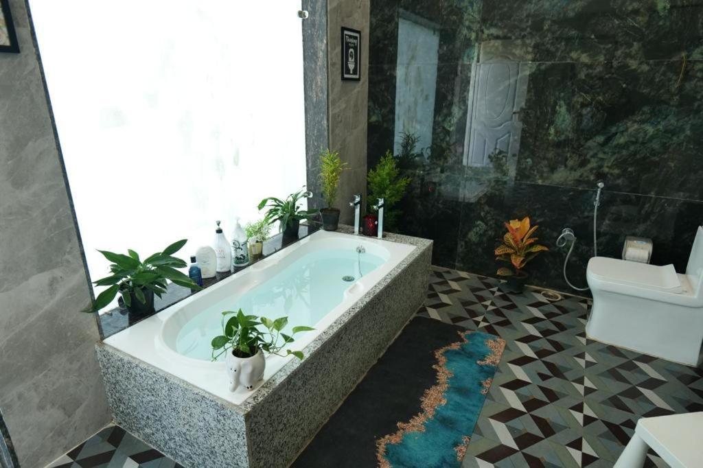 Jewel Of Jungle Apartment Tala  Exterior photo